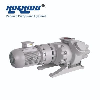 Roots Vacuum Pump Booster for Petroleum / Chemical Engineering / Medicine / Pharmacy / Food / Spinning / Daily Chemical / Resin Deaeration